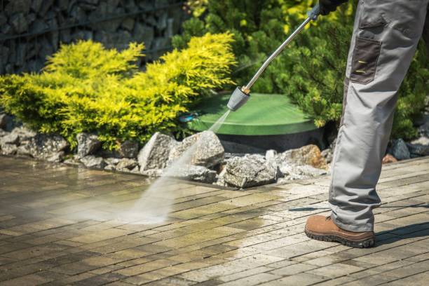 Best Animal Enclosure Cleaning  in Arnold, MO