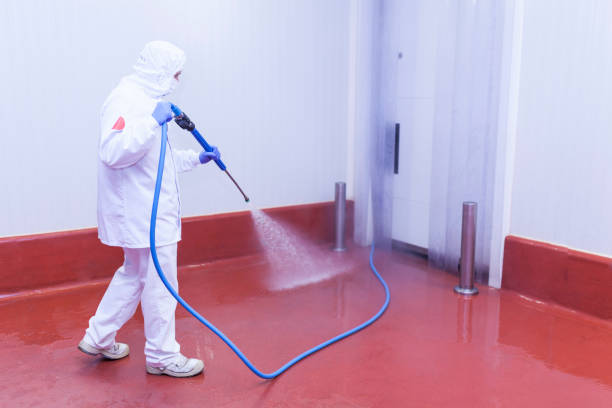 Pre-Holiday Cleaning in Arnold, MO